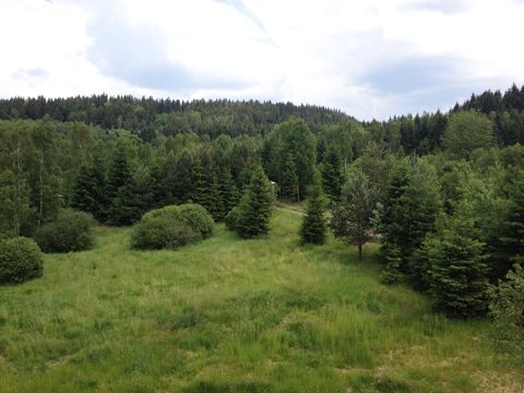 Foto 41